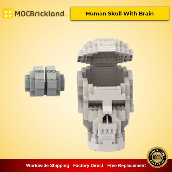 Human Skull With Brain MOC-41161 Creator Designed By MyKidisanAlien With 410 Pieces