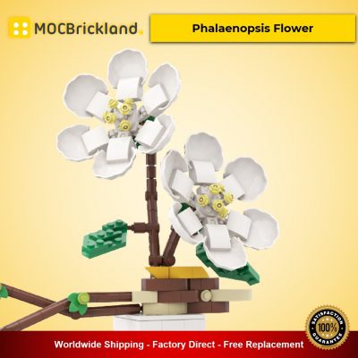 Phalaenopsis Flower MOC-90095 Creator With 331 Pieces
