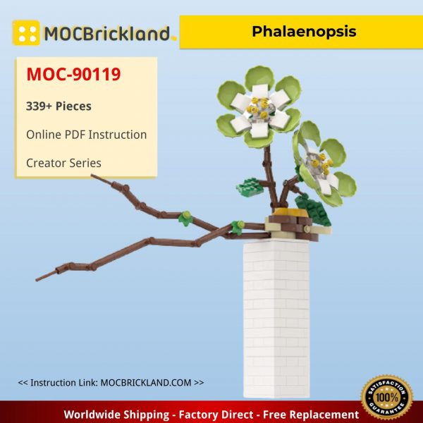 Phalaenopsis MOC-90119 Creator With 339 Pieces